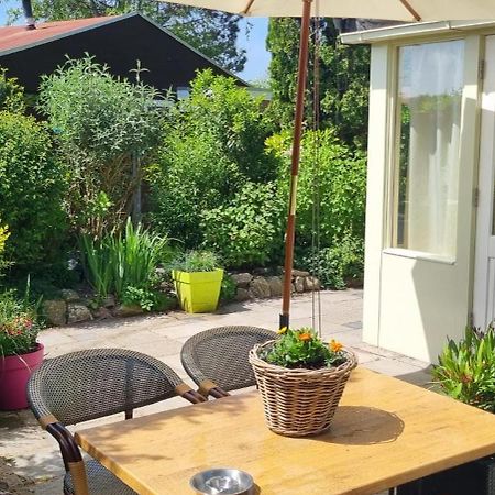 Zonnig Zuid Villa Dirkshorn Екстериор снимка