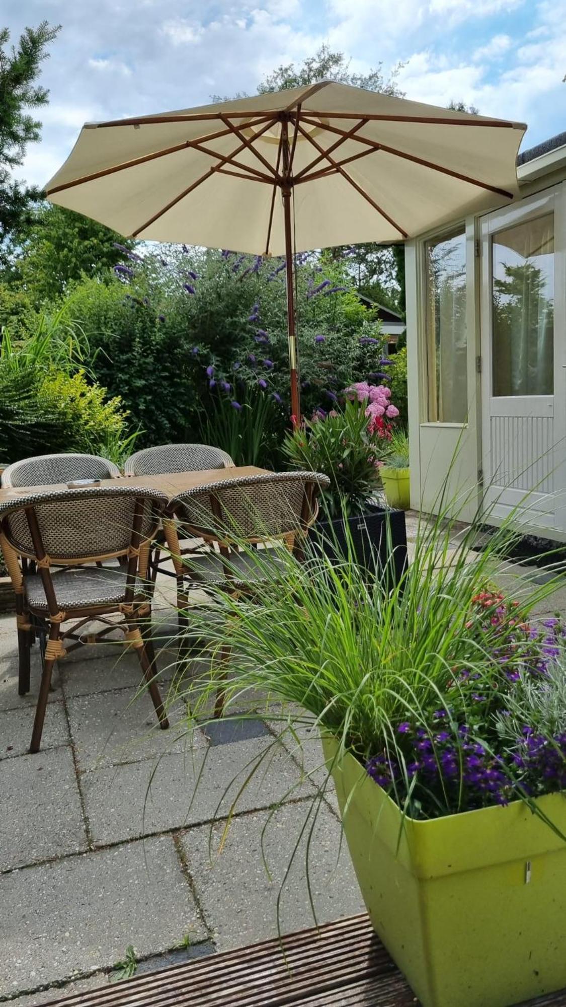 Zonnig Zuid Villa Dirkshorn Екстериор снимка